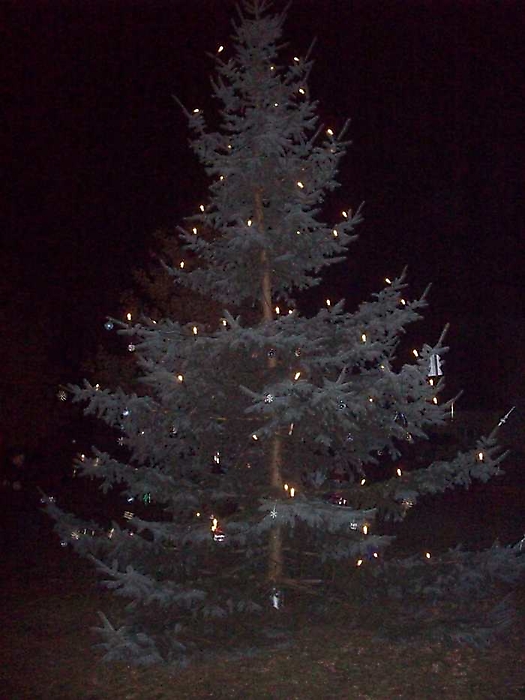 Weihnachtsbaum aufstellen 2008_41