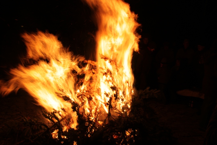 Weihnachtsbaum verbrennen 2012_26
