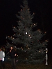 Weihnachtsbaum aufstellen 2008_60