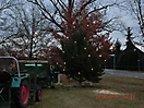 Weihnachtsbaum aufstellen 2012_1