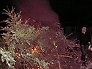 Weihnachtsbaum verbrennen 2010_29