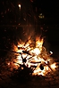 Weihnachtsbaum verbrennen 2012_36