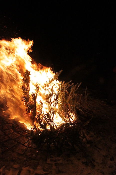 weihnachtsbaum verbrennen 2013 6 20170316 1450463669