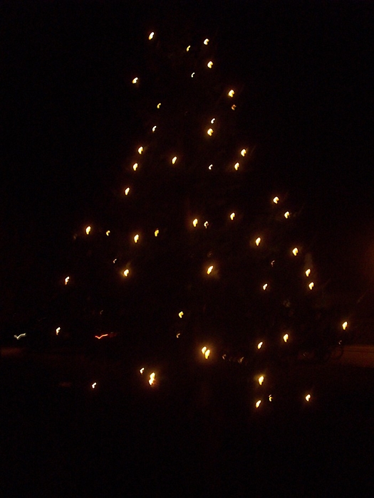 Weihnachtsbaum aufstellen 2008_43